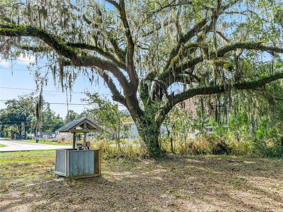 For Sale: $725,000 (0 beds, 0 baths, 0 Square Feet)