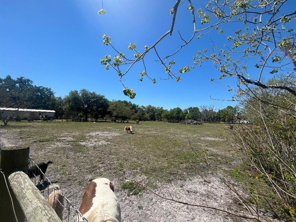 For Sale: $927,220 (3.58 acres)
