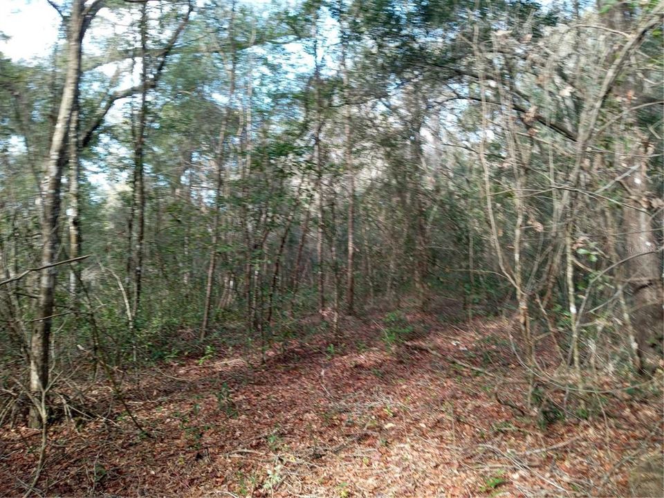Recently Sold: $44,900 (1.16 acres)