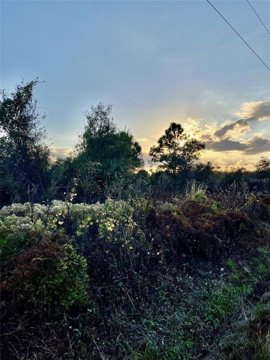 Недавно продано: $157,490 (5.00 acres)