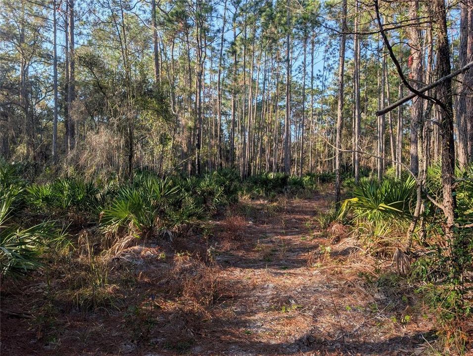 На продажу: $34,700 (1.00 acres)