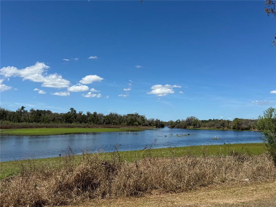 En Venta: $995,000 (5 camas, 3 baños, 3751 Pies cuadrados)