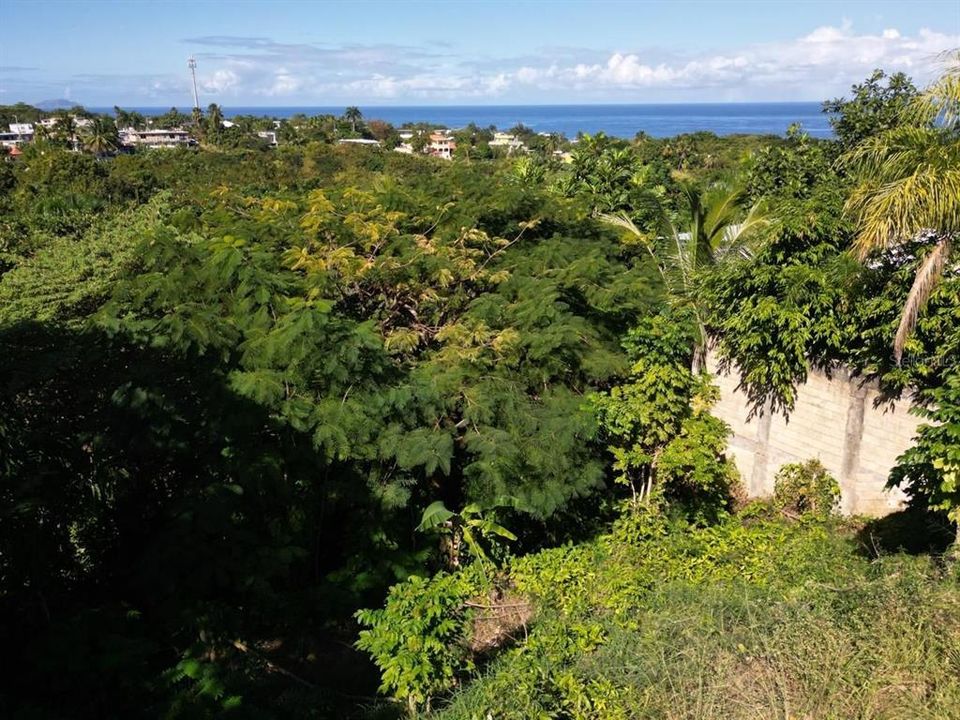 待售: $250,000 (0.58 acres)