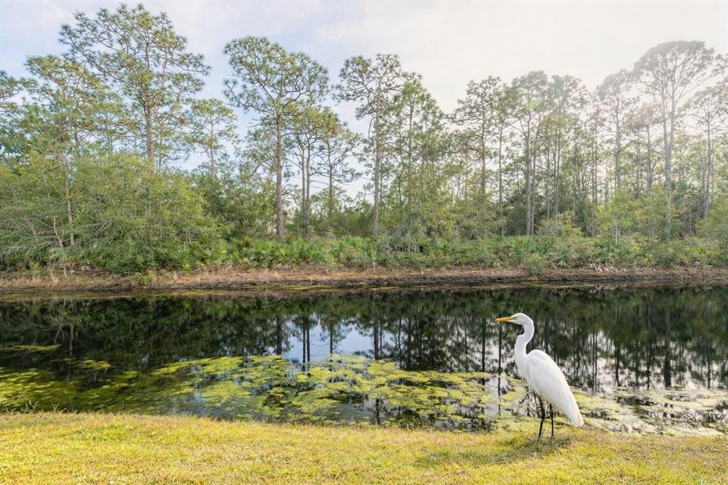 На продажу: $199,900 (2 спален, 2 ванн, 1262 Квадратных фут)