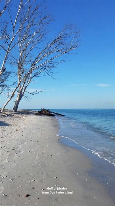 Active With Contract: $110,000 (0.06 acres)