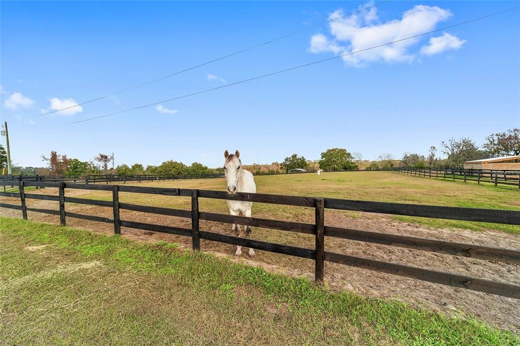 For Sale: $3,900,000 (3 beds, 2 baths, 1127 Square Feet)