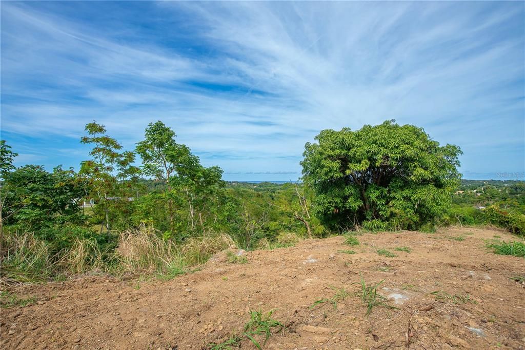 待售: $175,000 (0.89 acres)