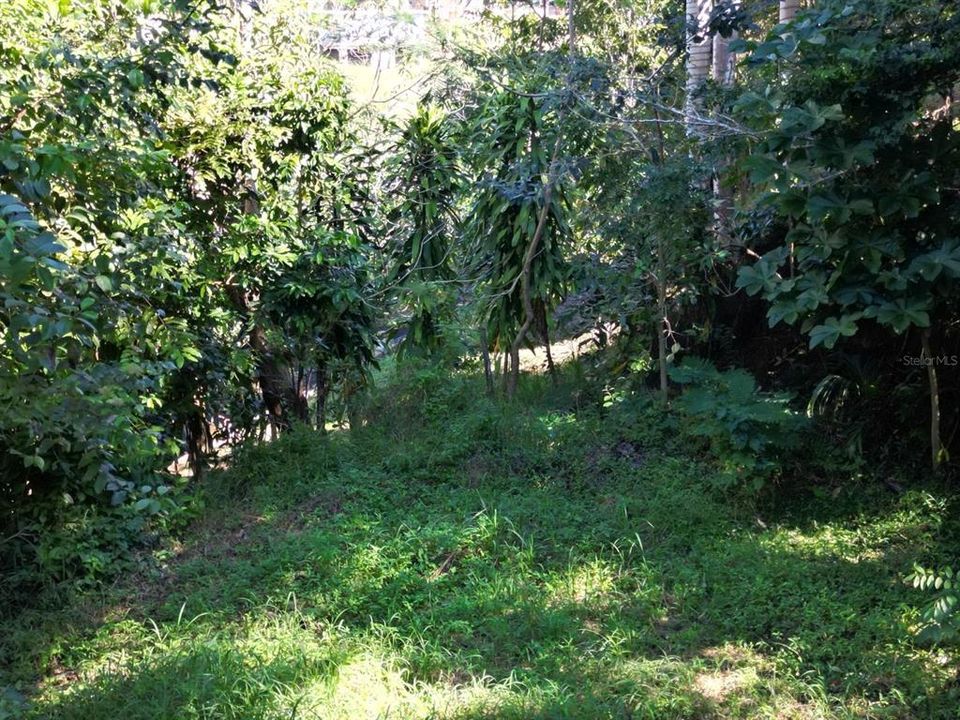 En Venta: $350,000 (2 camas, 1 baños, 550 Pies cuadrados)