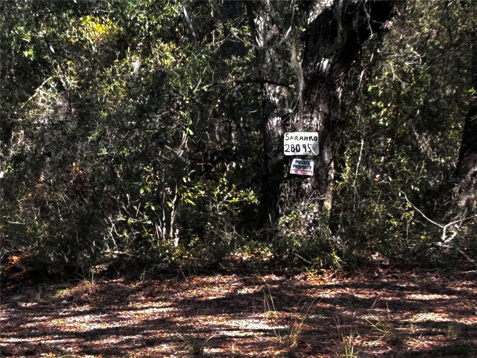 For Sale: $350,000 (7.51 acres)