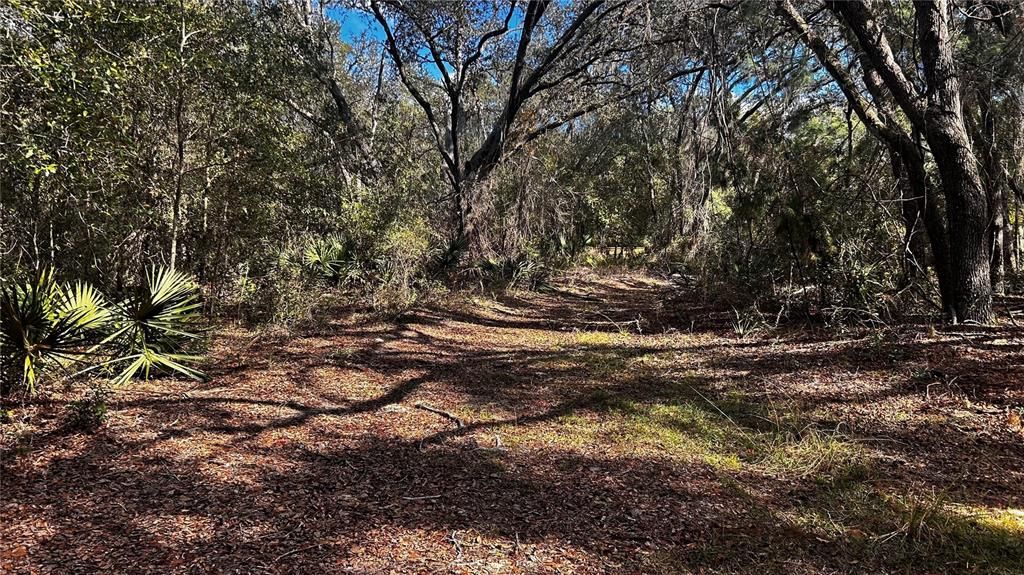 For Sale: $350,000 (7.51 acres)