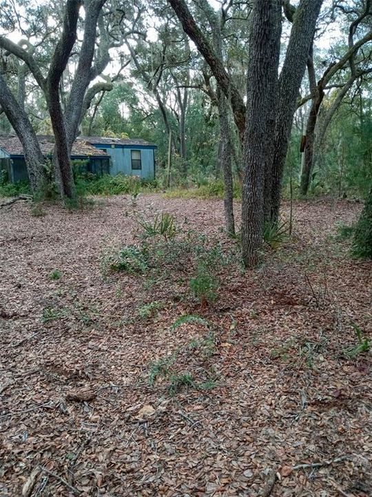 For Sale: $350,000 (7.51 acres)