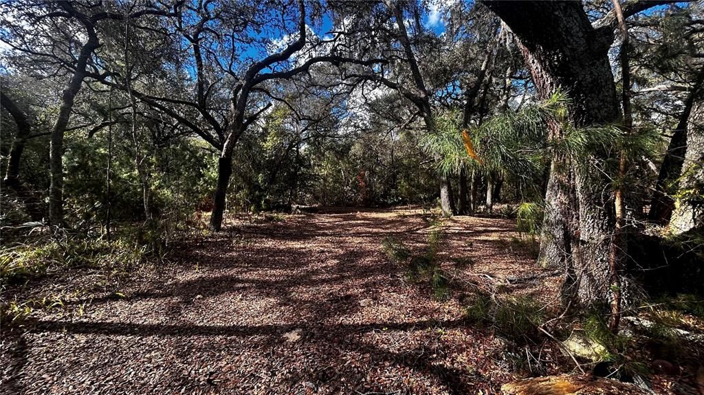 For Sale: $300,000 (7.51 acres)