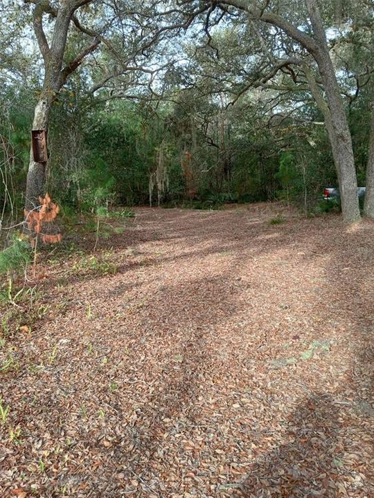 For Sale: $350,000 (7.51 acres)