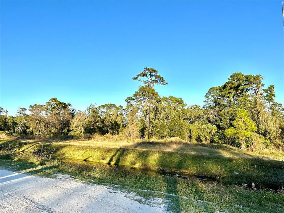 На продажу: $24,900 (0.26 acres)