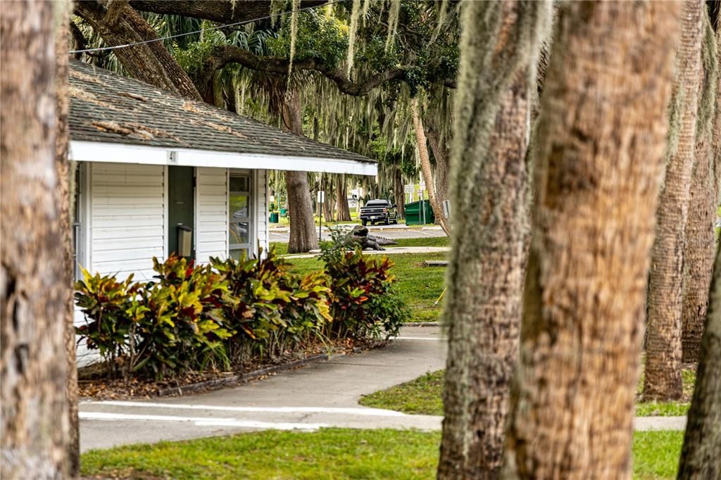 На продажу: $197,900 (2 спален, 2 ванн, 1071 Квадратных фут)