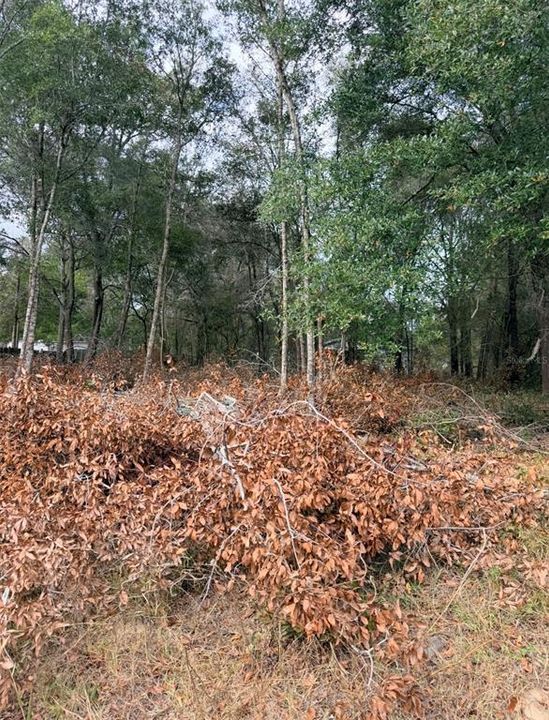 待售: $17,900 (0.28 acres)