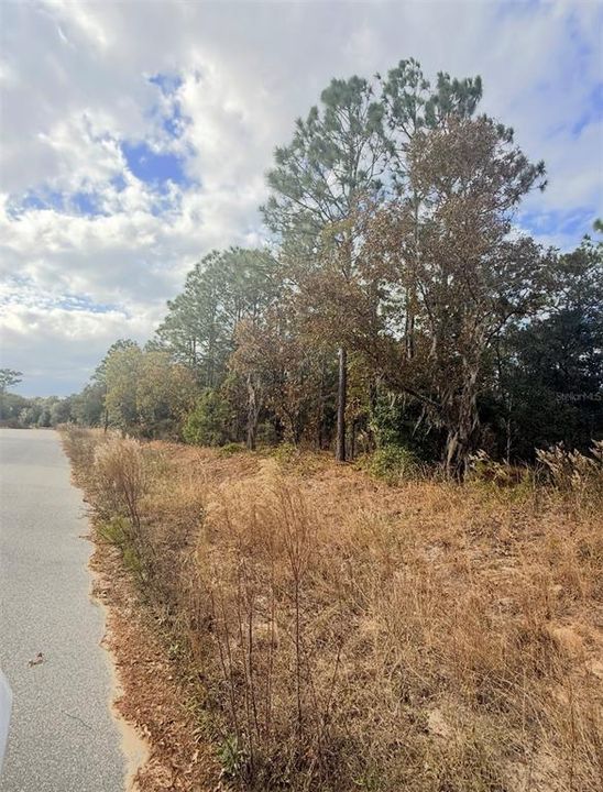 待售: $17,900 (0.23 acres)