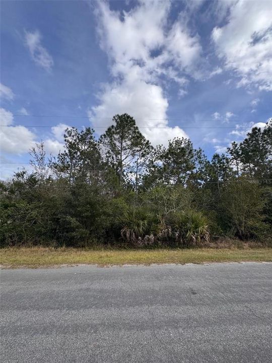 En Venta: $108,888 (1.03 acres)