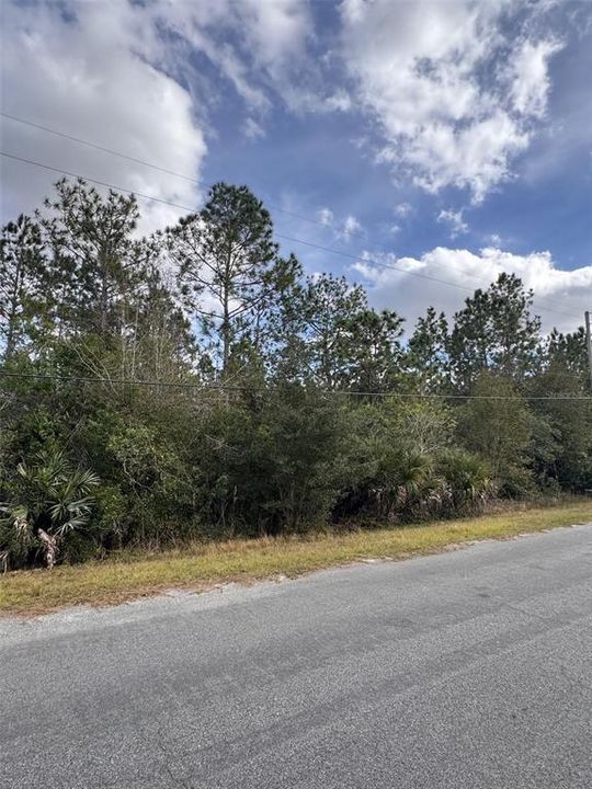 En Venta: $108,888 (1.03 acres)