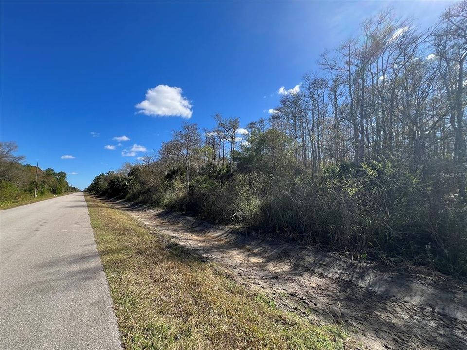 For Sale: $250,000 (5.00 acres)