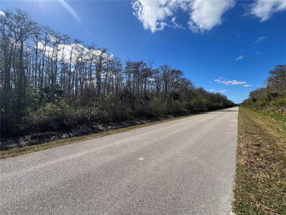 For Sale: $250,000 (5.00 acres)