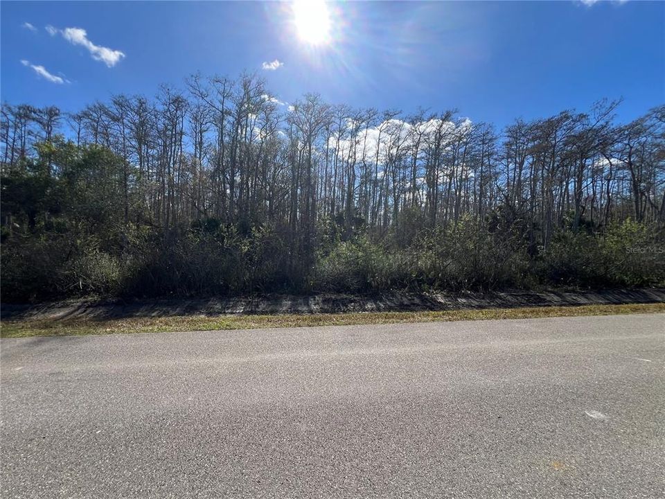 For Sale: $250,000 (5.00 acres)