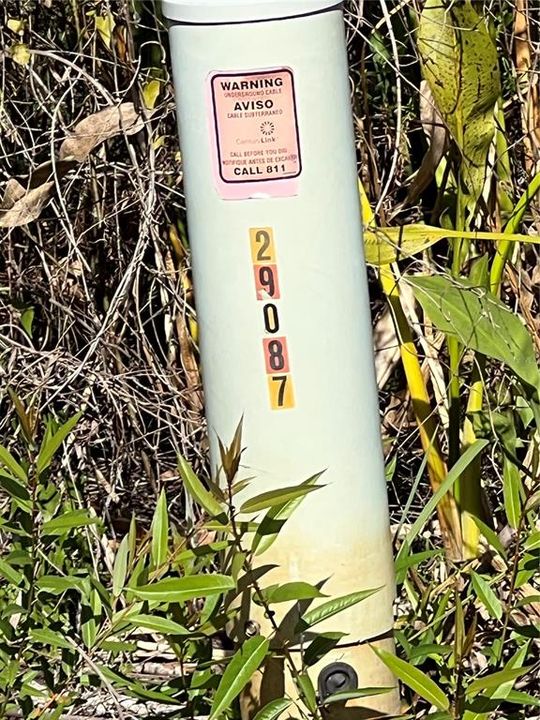 For Sale: $250,000 (5.00 acres)