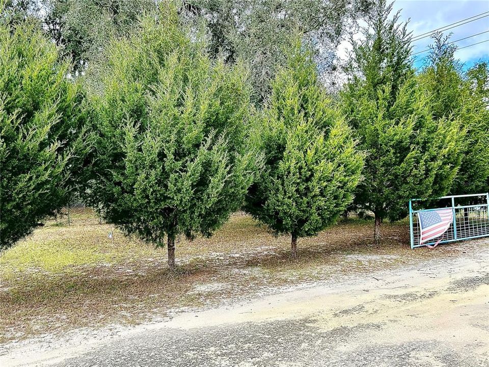 Недавно продано: $42,000 (1.34 acres)