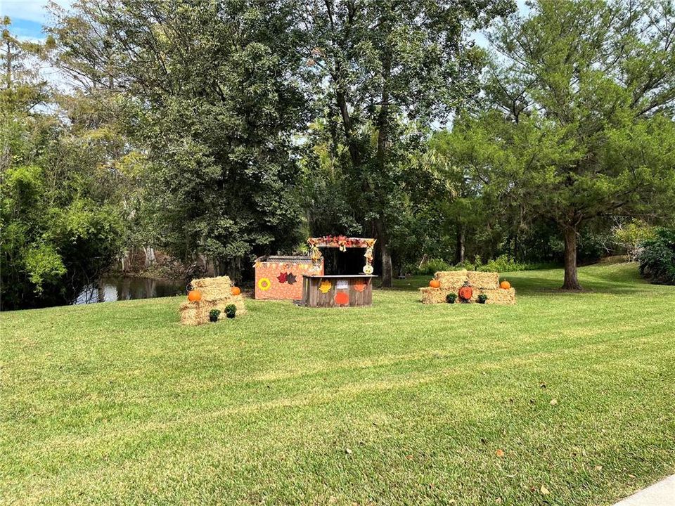 En Venta: $60,000 (0.06 acres)