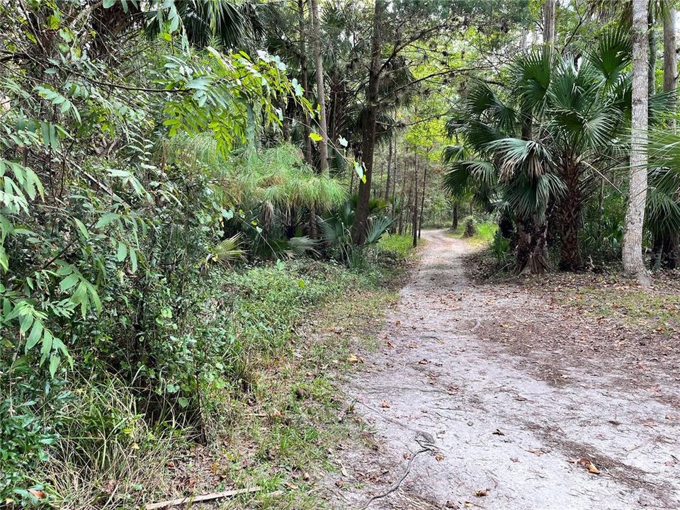 En Venta: $60,000 (0.06 acres)