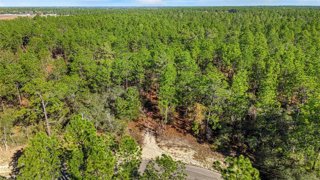 For Sale: $39,900 (0.72 acres)