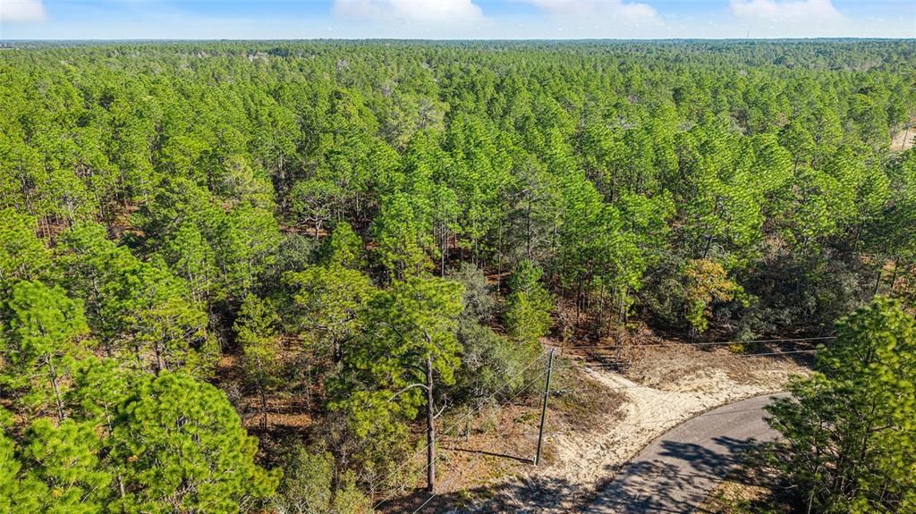 For Sale: $39,900 (0.72 acres)