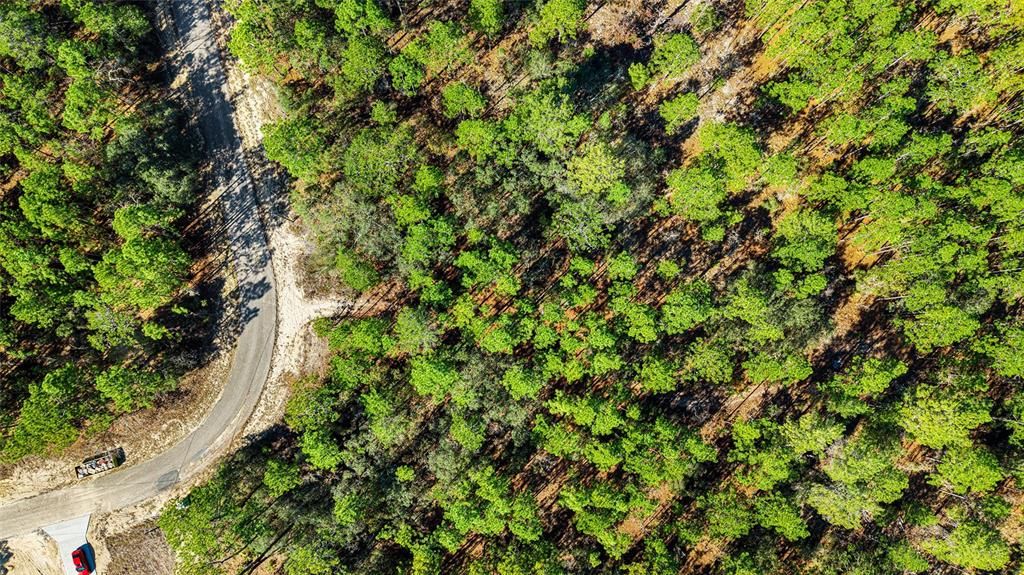 For Sale: $39,900 (0.72 acres)