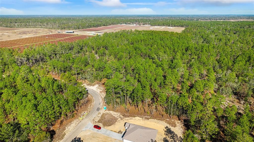 For Sale: $39,900 (0.72 acres)