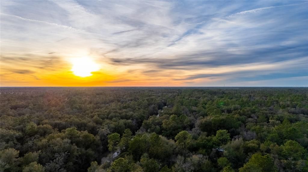 合同活跃: $39,900 (1.25 acres)