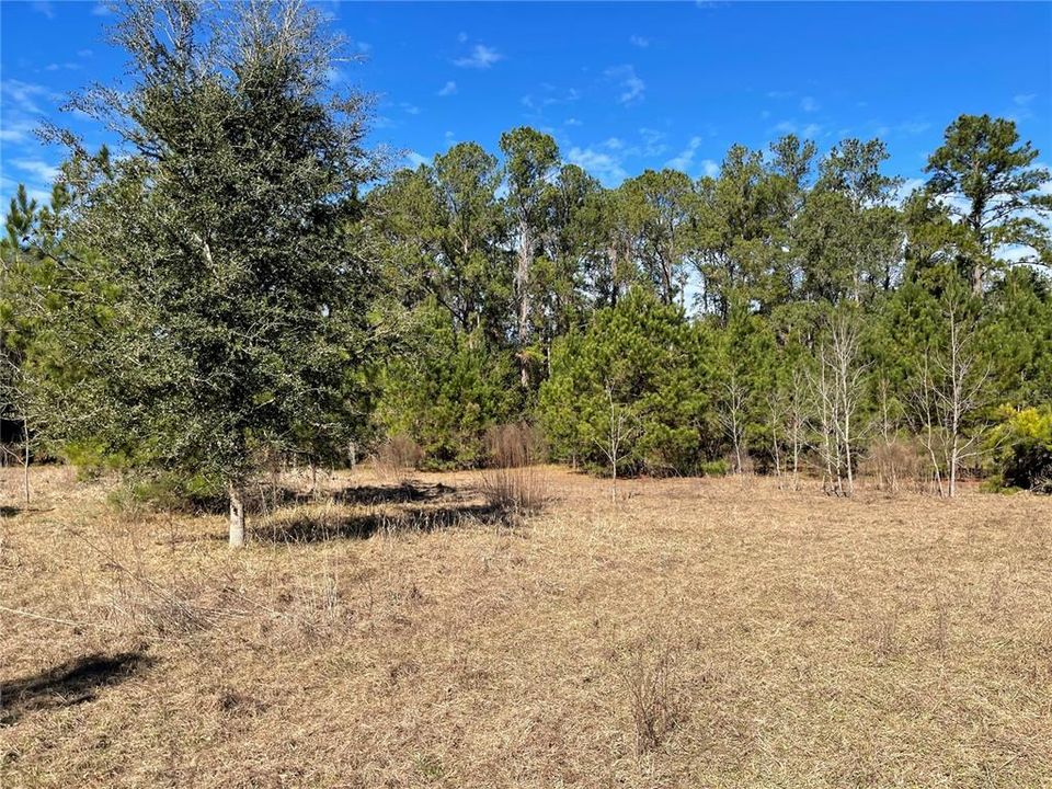 For Sale: $1,500,000 (28.49 acres)