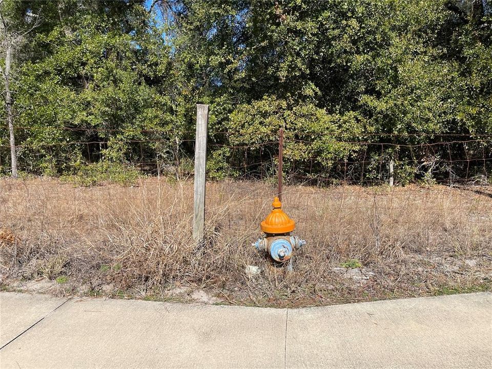 For Sale: $1,500,000 (28.49 acres)