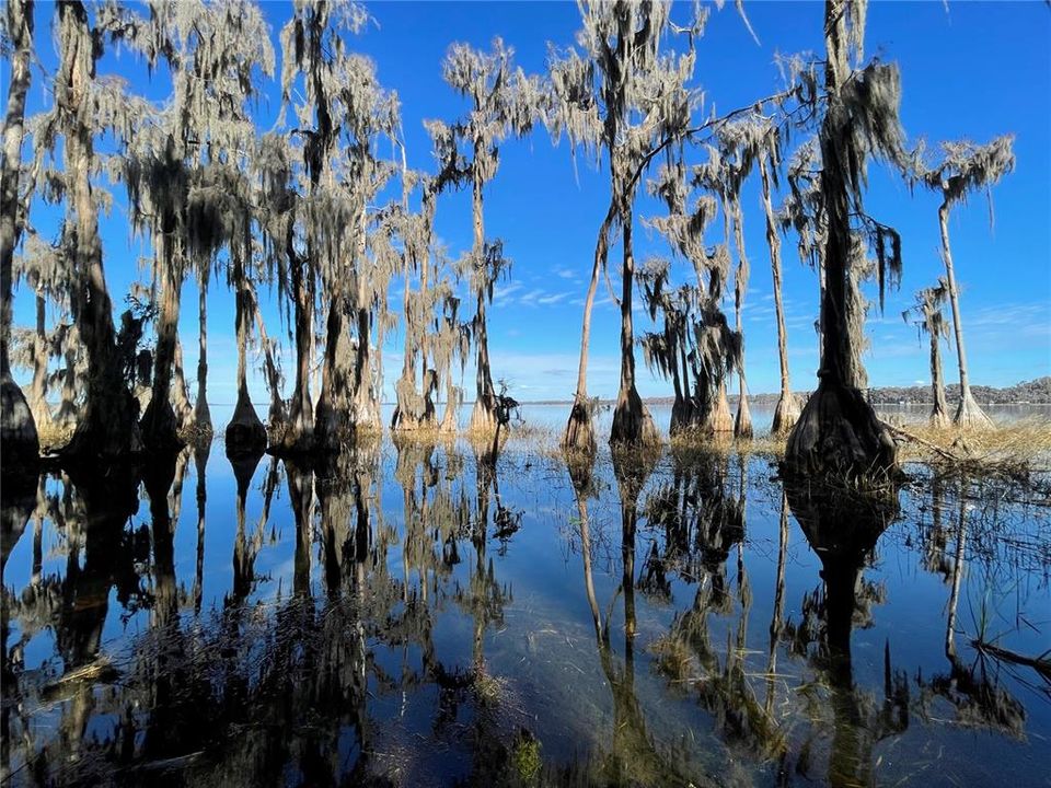 For Sale: $1,500,000 (28.49 acres)