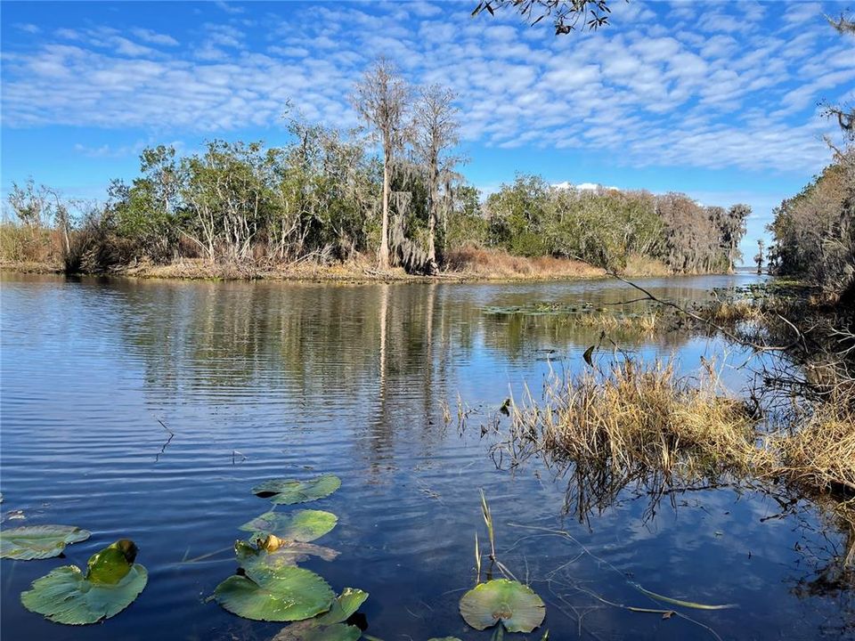 For Sale: $1,500,000 (28.49 acres)