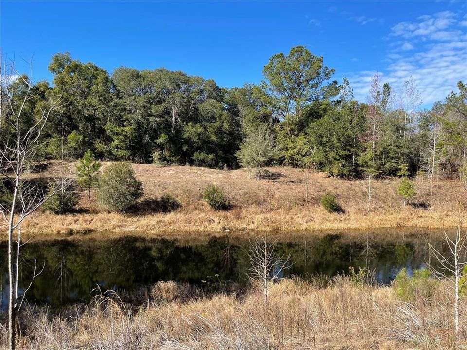 For Sale: $1,500,000 (28.49 acres)