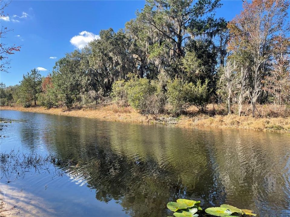 For Sale: $1,500,000 (28.49 acres)