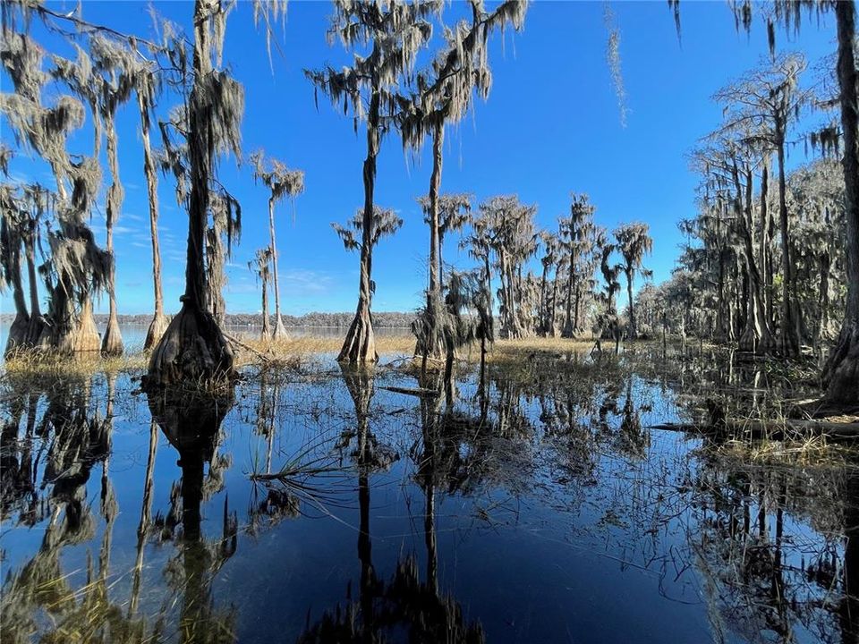 For Sale: $1,500,000 (28.49 acres)