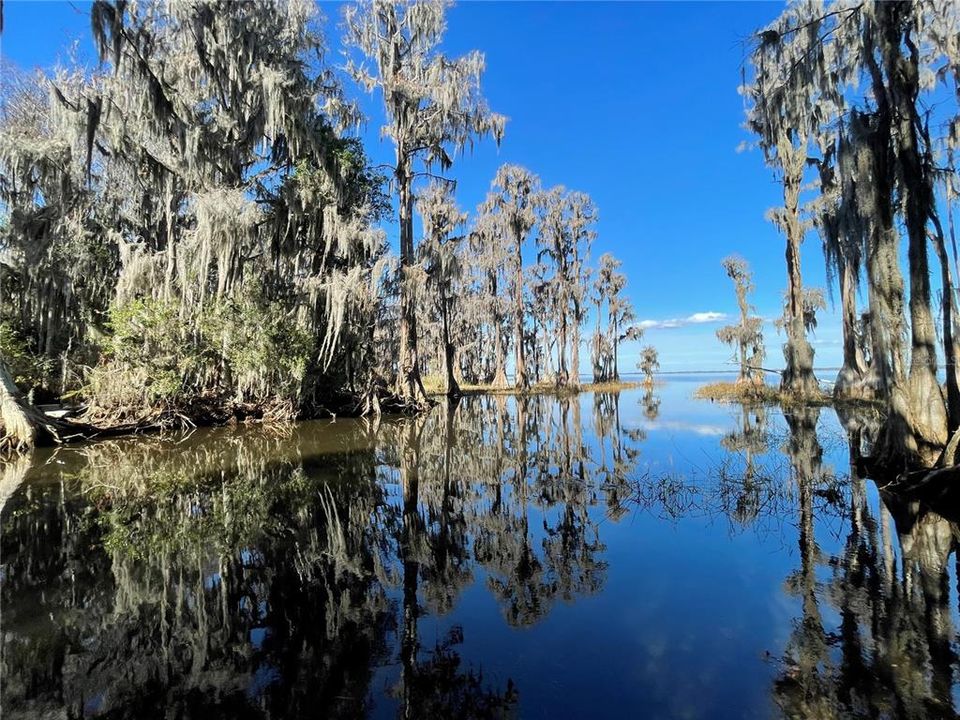 For Sale: $1,500,000 (28.49 acres)