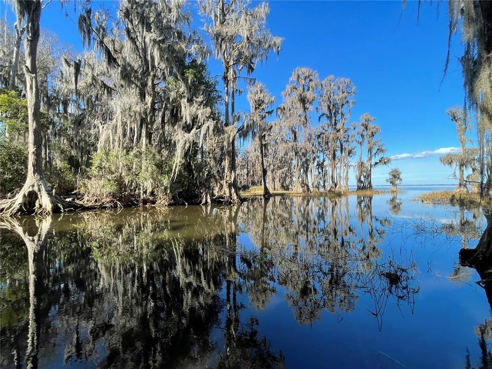 For Sale: $1,500,000 (28.49 acres)