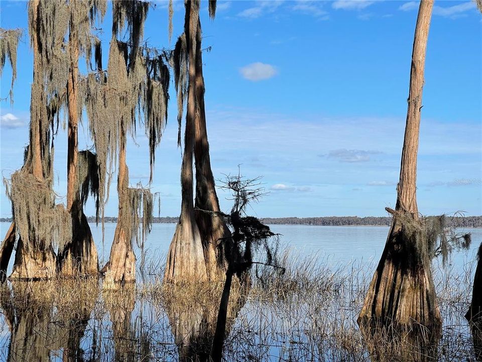 For Sale: $1,500,000 (28.49 acres)