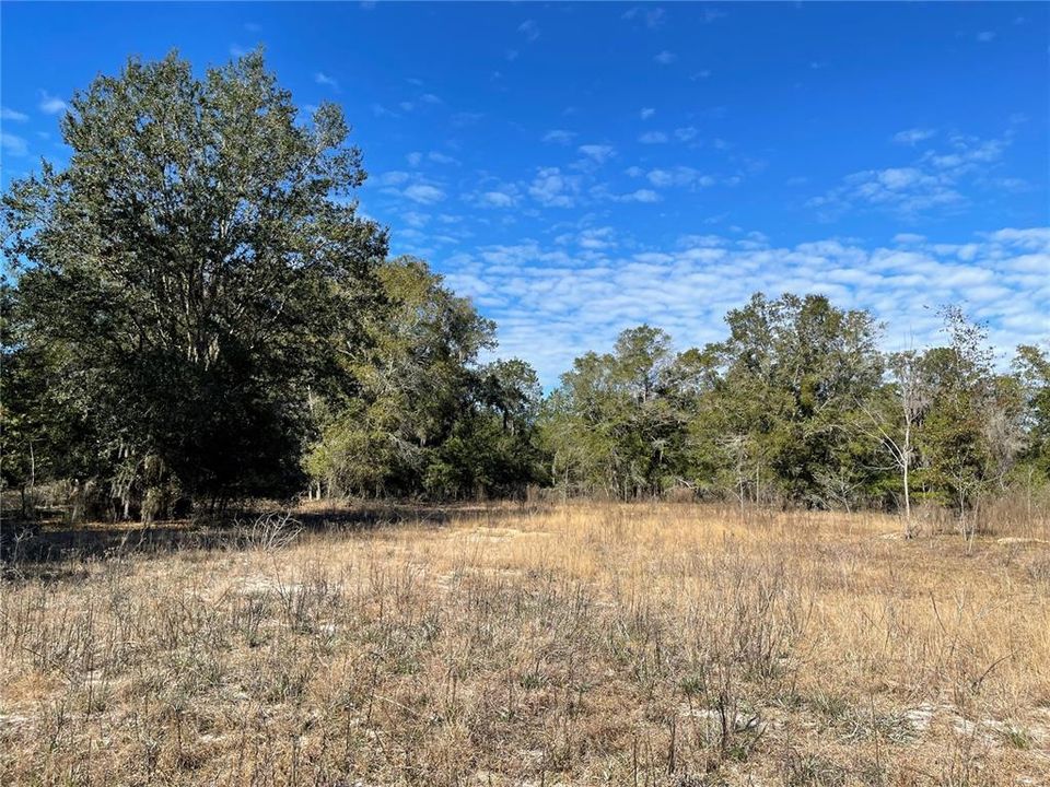 For Sale: $1,500,000 (28.49 acres)