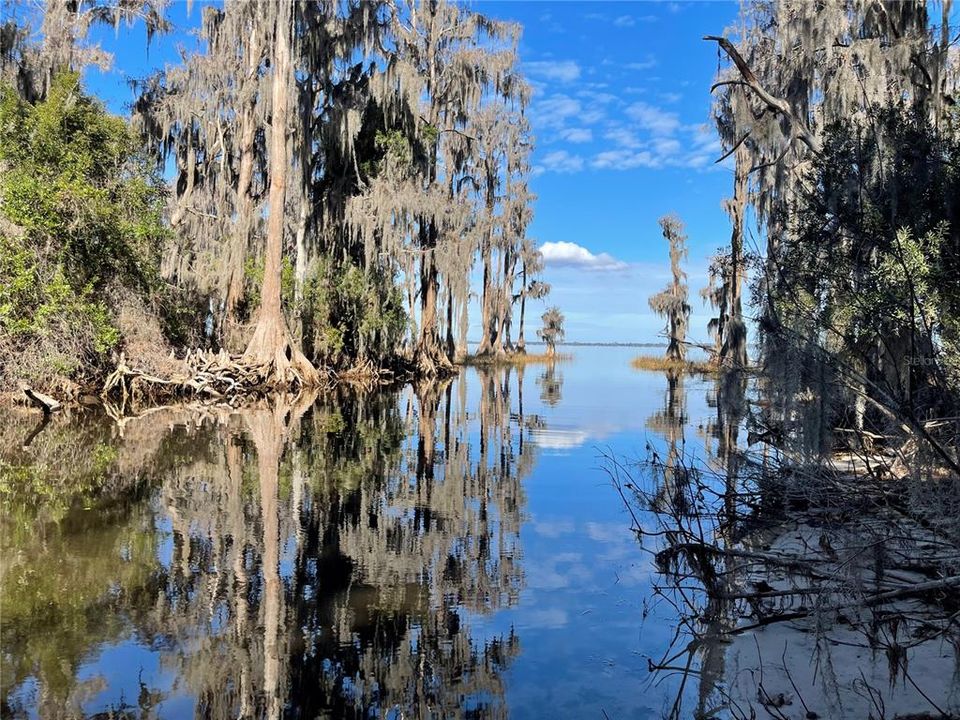 For Sale: $1,500,000 (28.49 acres)