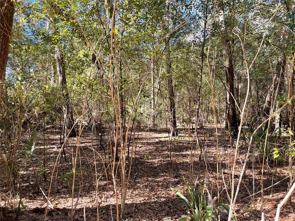 For Sale: $1,500,000 (28.49 acres)