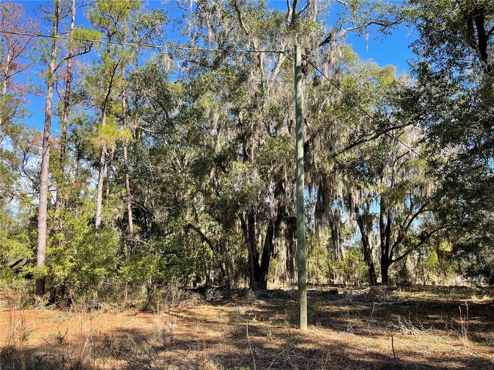 For Sale: $1,500,000 (28.49 acres)