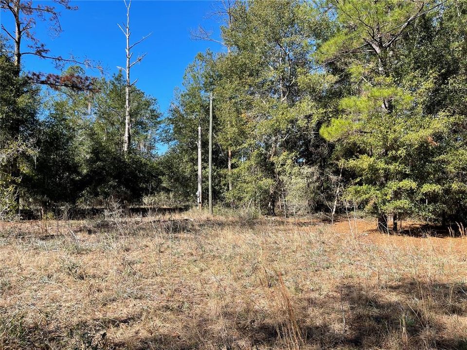 For Sale: $1,500,000 (28.49 acres)